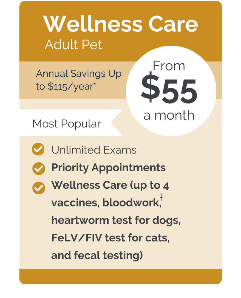 North Reading VIPet Plan_pricing_Wellness_Modern